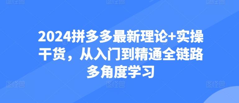 2024拼多多最新理论+实操干货，从入门到精通全链路多角度学习-吾爱自习网