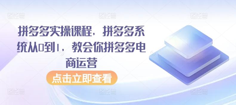 拼多多实操课程，拼多多系统从0到1，教会你拼多多电商运营-吾爱自习网