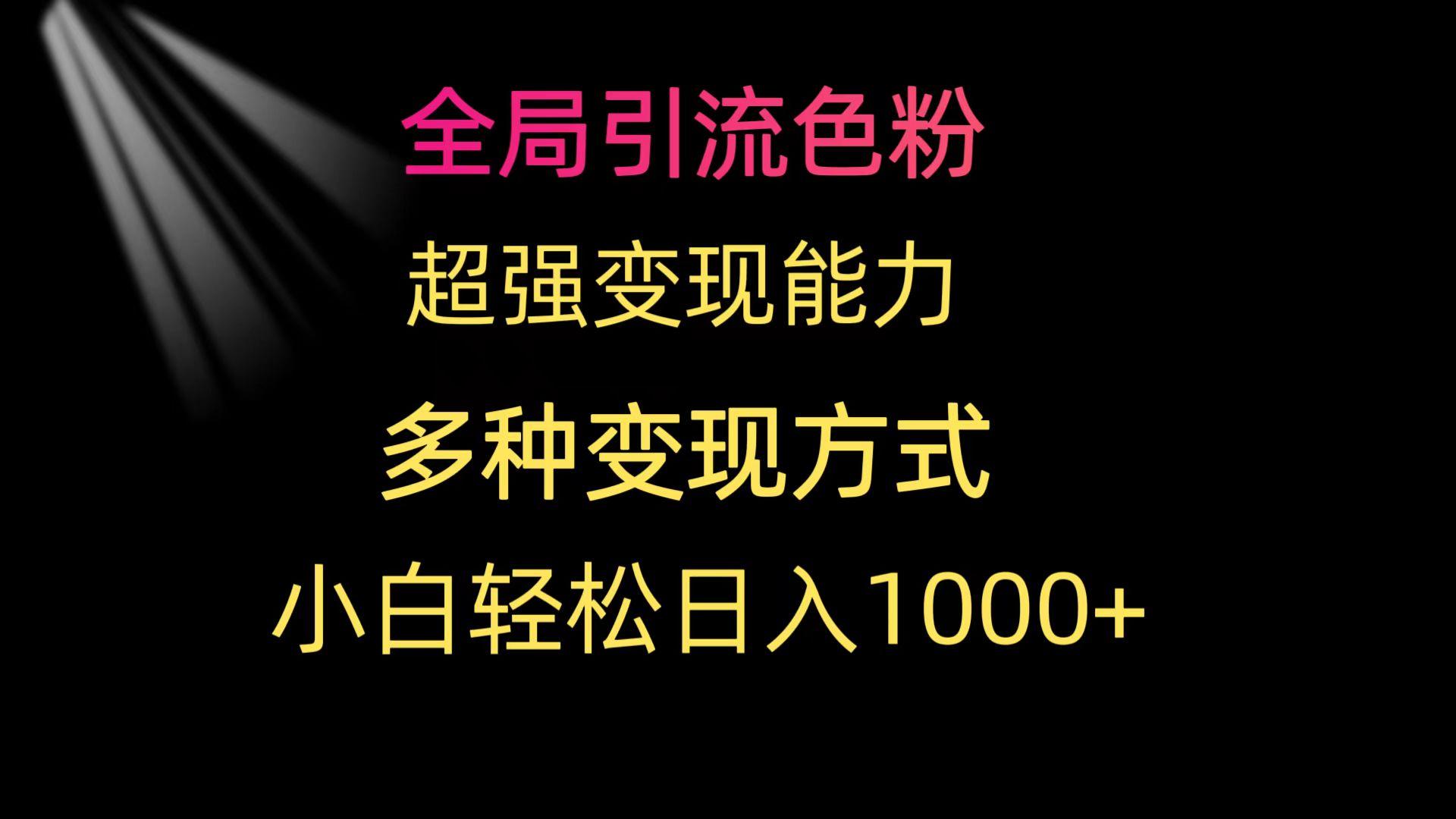(9680期)全局引流色粉 超强变现能力 多种变现方式 小白轻松日入1000+-吾爱自习网