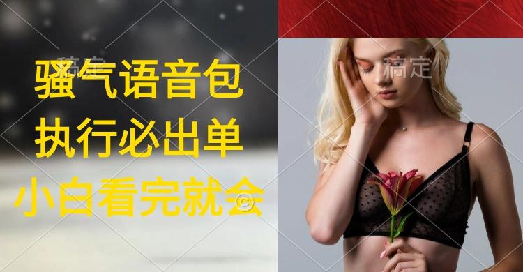 (9589期)执行就出单，日入2000+，超火骚气语音包，小白看完课程就能马上实操-吾爱自习网