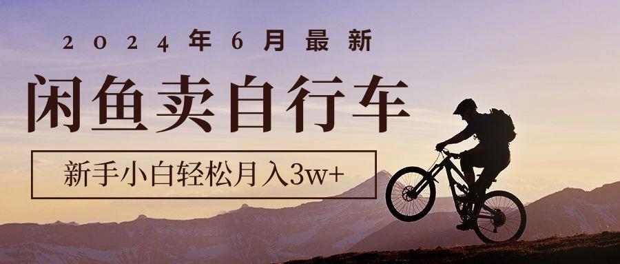 2024年6月最新闲鱼卖自行车,新手小白轻松月入3w+项目-吾爱自习网