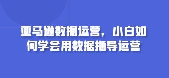 亚马逊数据运营，小白如何学会用数据指导运营-吾爱自习网