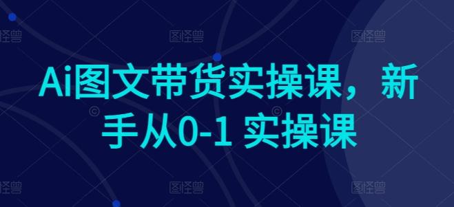 Ai图文带货实操课，新手从0-1 实操课-吾爱自习网