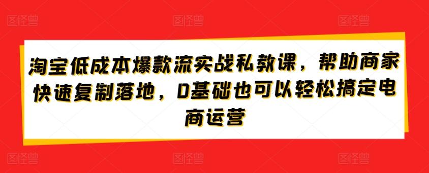 淘宝低成本爆款流实战私教课，帮助商家快速复制落地，0基础也可以轻松搞定电商运营-吾爱自习网