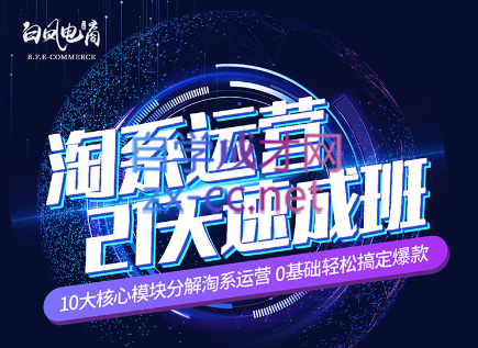 淘系运营21天速成班(更新24年5月)-吾爱自习网