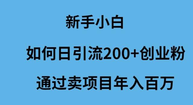 (9668期)新手小白如何日引流200+创业粉通过卖项目年入百万-吾爱自习网