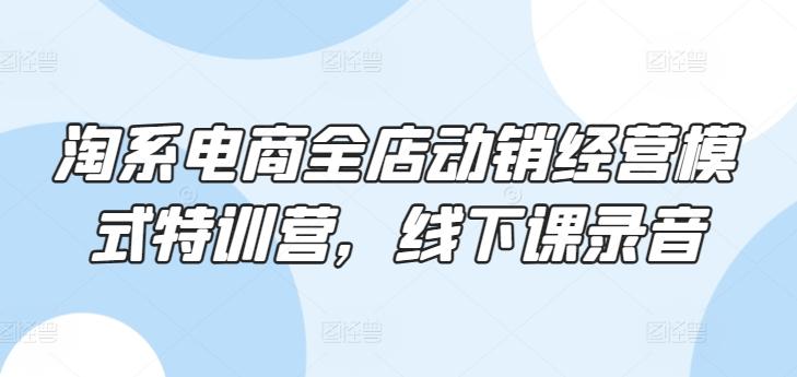 淘系电商全店动销经营模式特训营，线下课录音-吾爱自习网