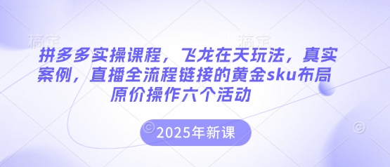 拼多多实操课程，飞龙在天玩法，真实案例，直播全流程链接的黄金sku布局原价操作六个活动-吾爱自习网