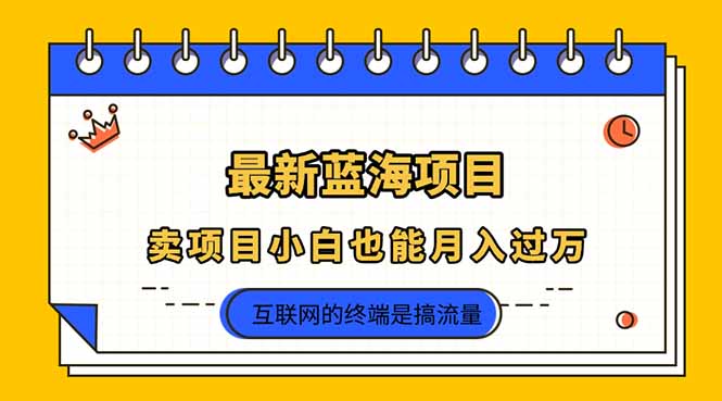 2025年最新蓝海项目，卖项目小白也能月入过万-吾爱自习网