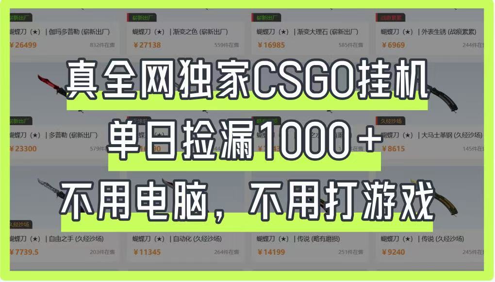真全网独家CSGO挂机，单日捡漏1000+，不用电脑，不用养号-吾爱自习网
