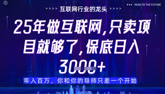 什么！25年你还在找项目做？风口早就变了，卖项目才是稳挣不赔【揭秘】-吾爱自习网
