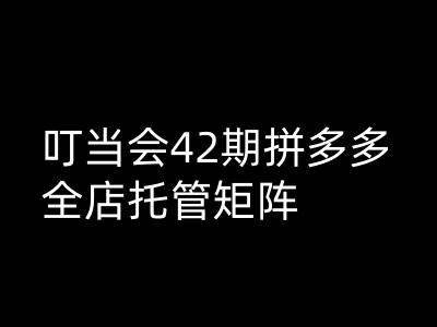 叮当会拼多多打爆班原创高阶技术第42期，拼多多全店托管矩阵-吾爱自习网