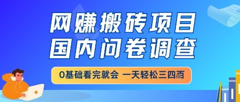 网创搬砖项目，国内问卷调查，小白轻松上手，一天三四张的也不难，干就完了【揭秘】-吾爱自习网
