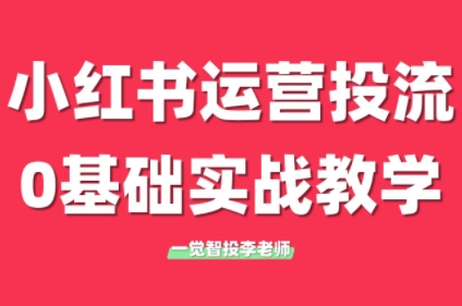 李老师·小红书运营投流，0基础实战教学(更新)-吾爱自习网