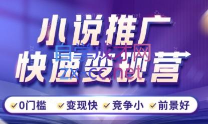 洲洲老师·小说推广快速变现营-吾爱自习网