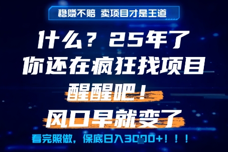 什么？25年你还在疯狂找项目做，醒醒吧，看完这些你全都懂了！【揭秘】-吾爱自习网