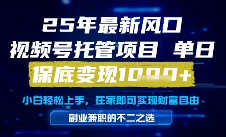 25年最新风口，视频号托管项目，单日保底变现1k+，手把手教学【揭秘】-吾爱自习网