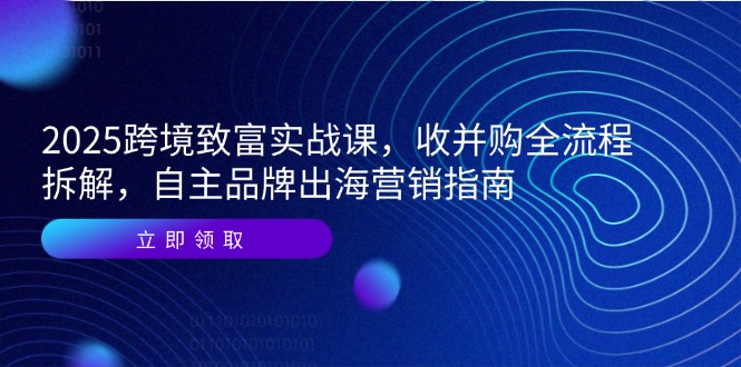 2025跨境致富实战课，收并购全流程拆解，自主品牌出海营销指南-吾爱自习网