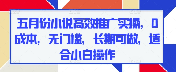 五月份小说高效推广实操，0成本，无门槛，长期可做，适合小白操作-吾爱自习网