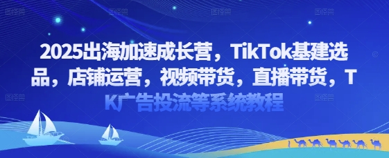 2025出海加速成长营，TikTok基建选品，店铺运营，视频带货，直播带货，TK广告投流等系统教程-吾爱自习网