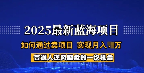 2025蓝海项目，普通人如何通过卖项目，实现月入过W，全过程【揭秘】-吾爱自习网