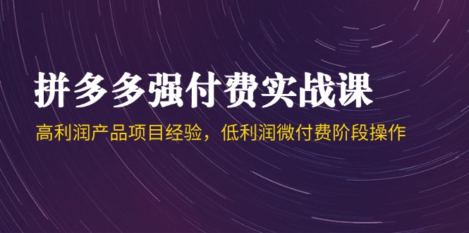 拼多多强付费实战课-44期，高利润产品项目经验，低利润微付费阶段操作-吾爱自习网