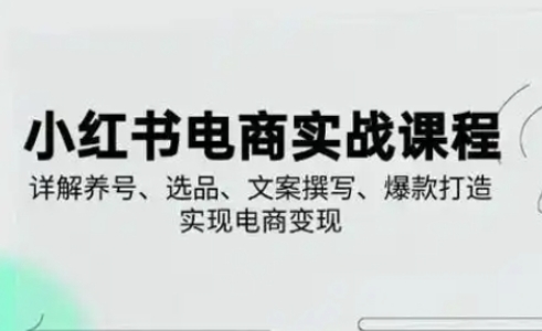 小红书从0-1实操课(2023-2025)，详解养号、选品、文案撰写、爆款打造实现电商变现-吾爱自习网