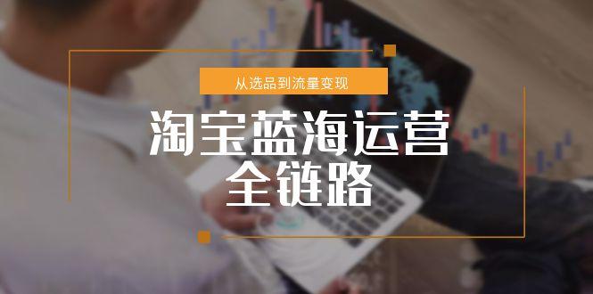 淘宝蓝海运营全链路，从选品到流量变现，小类目突围完整方案-吾爱自习网