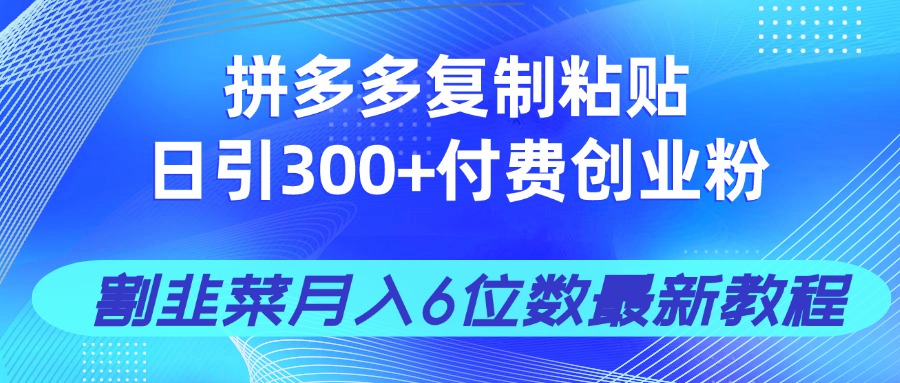 拼多多复制粘贴日引300+付费创业粉，割韭菜月入6位数最新教程！-吾爱自习网