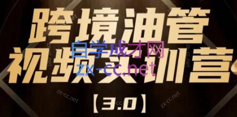 阿蔺Leo·跨境油管视频YouTube实训营(更新2025)-吾爱自习网