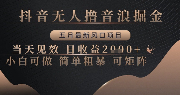 抖音无人撸音浪掘金，五月最新风口项目，当天见效，日收益多张，小白可做简单粗暴可矩阵【揭秘】-吾爱自习网