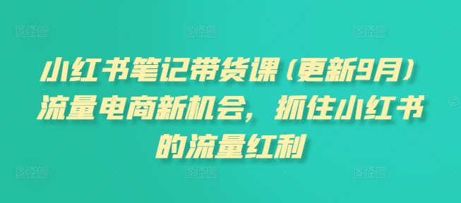 小红书笔记带货课(更新25年4月)流量电商新机会，抓住小红书的流量红利-吾爱自习网