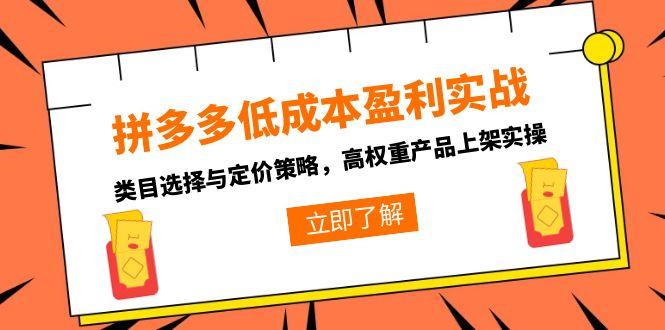 拼多多低成本盈利实战，类目选择与定价策略，高权重产品上架实操-吾爱自习网
