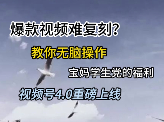 视频号4.0重磅上线，爆款视频难复刻？教你无脑操作宝妈学生党的福利【揭秘】-吾爱自习网