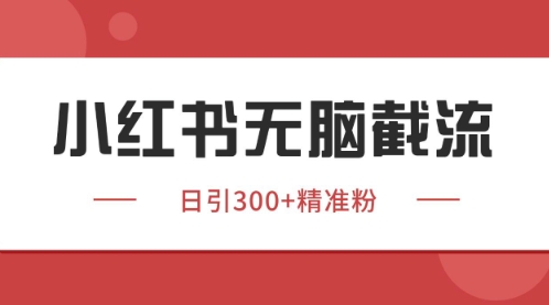 小红书只要你有同行就能获客，独家野路子获客玩法，暴力截流【揭秘】-吾爱自习网