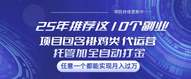 25年推荐这10个副业项目包含褂鸡类、代运营托管类、全自动打金类【揭秘】-吾爱自习网