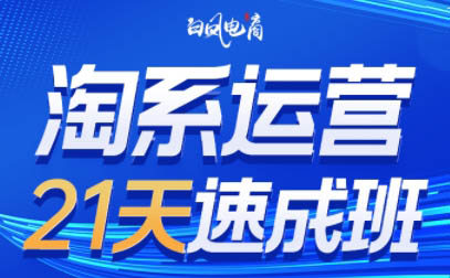 白凤电商·淘系运营21天速成班(更新5月)-吾爱自习网