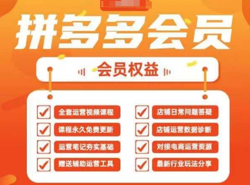 2025拼多多运营实战课，40节全流程教学，覆盖拼多多运营全链路-吾爱自习网