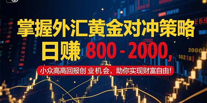 掌握外汇黄金对冲策略，日赚 800 – 2000，小众高回报创业机会，助你实…-吾爱自习网