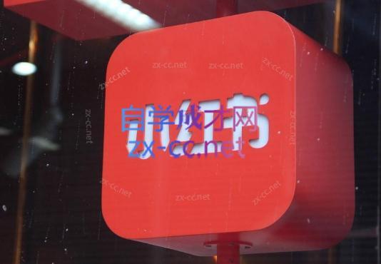 伊伊·红薯【高级班】运营课-吾爱自习网