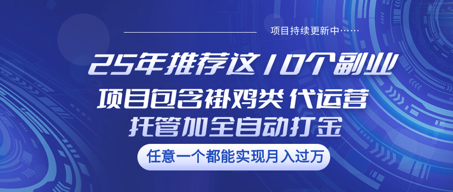 25年推荐这10个副业 项目包含褂鸡类、代运营托管类、全自动打金类-吾爱自习网