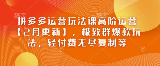 拼多多运营玩法课高阶运营【2月更新】，极致群爆款玩法，轻付费无尽复制等-吾爱自习网