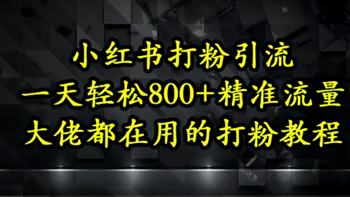 小红书打粉引流，一天轻松500+精准流量，大佬都在用的打粉教程-吾爱自习网