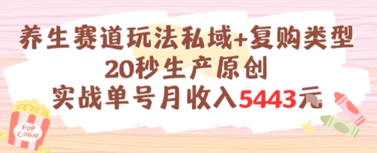 养生赛道玩法私域+复购类型，20秒生产原创实战单号月收入5k+-吾爱自习网
