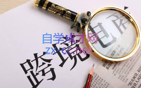 帮课大学VIP会员课程(更新2025年)-吾爱自习网