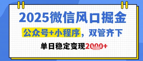2025微信风口掘金，公众号+小程序双管齐下，单日稳定变现1k+【揭秘】-吾爱自习网