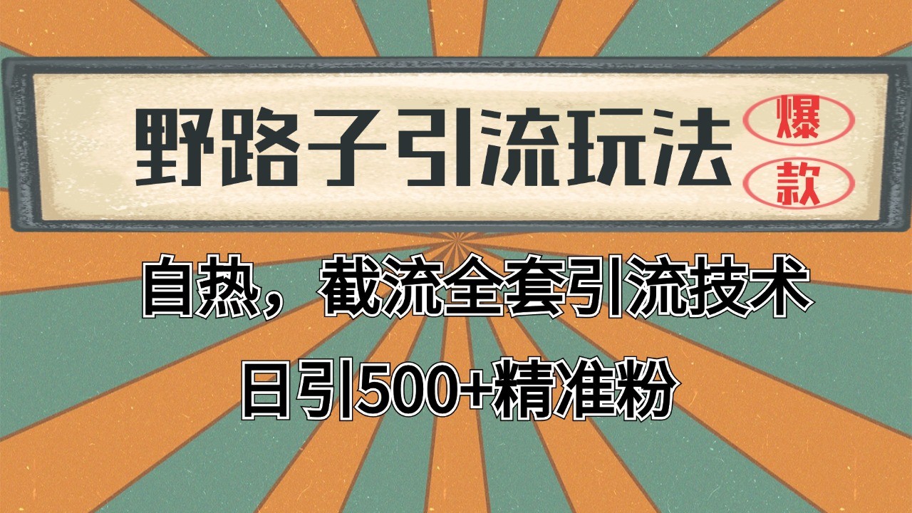 2024首发野路子引流玩法截流自热全平台打法，全自动引流【日引2000+精准客户】-吾爱自习网