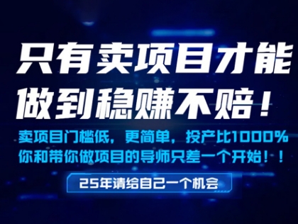 只有卖项目才能做到稳挣不赔，门槛低，更简单，你也可以年入百个W【揭秘】-吾爱自习网
