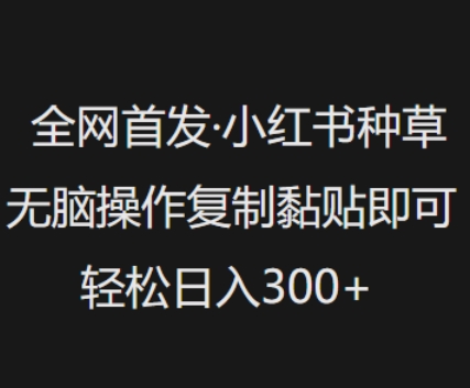 全网首发，小红书种草无脑操作，复制黏贴即可，轻松日入3张-吾爱自习网
