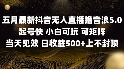 2025五月最新无人直播撸音浪单日产出5张+实操教程【揭秘】-吾爱自习网